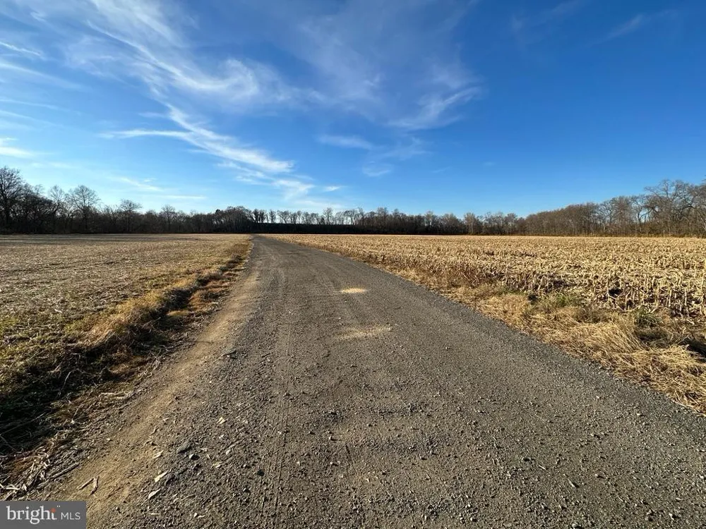 8184 FOX GROVES ROAD Remington, VA 22734