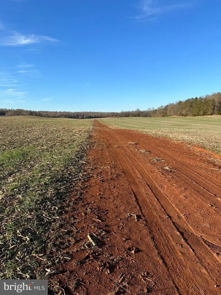 8184 FOX GROVES ROAD Remington, VA 22734