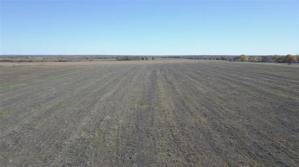 Connie Lane Forney, TX 75126