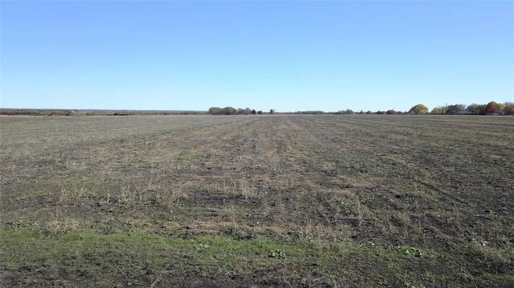 Connie Lane Forney, TX 75126