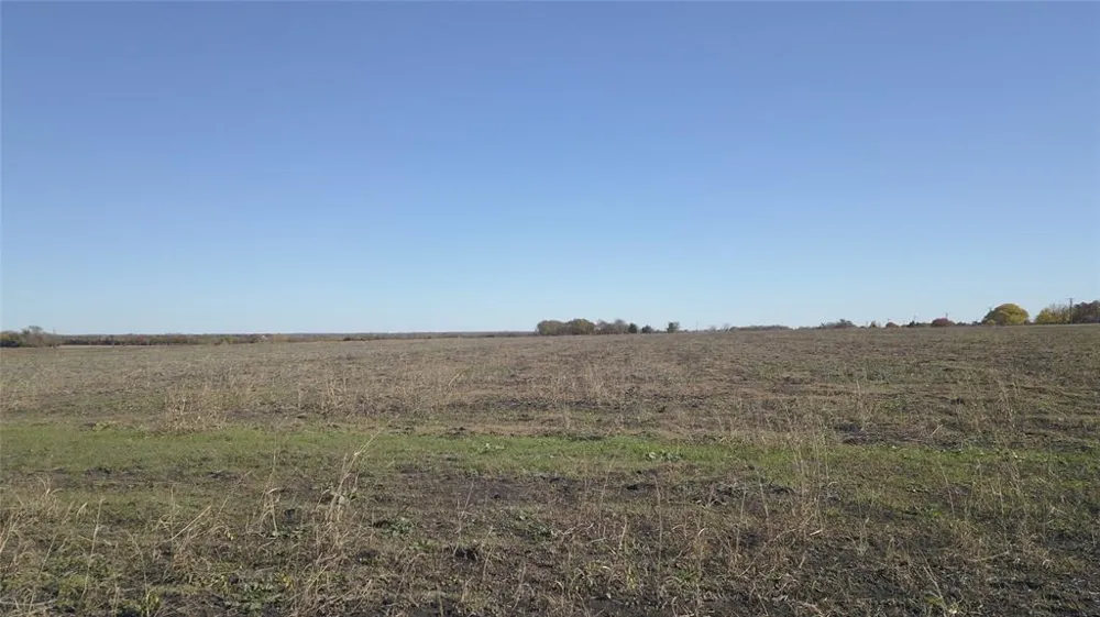 Connie Lane Forney, TX 75126
