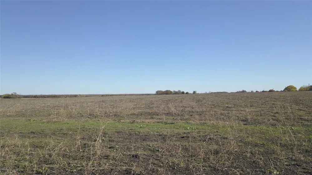 Connie Lane Forney, TX 75126