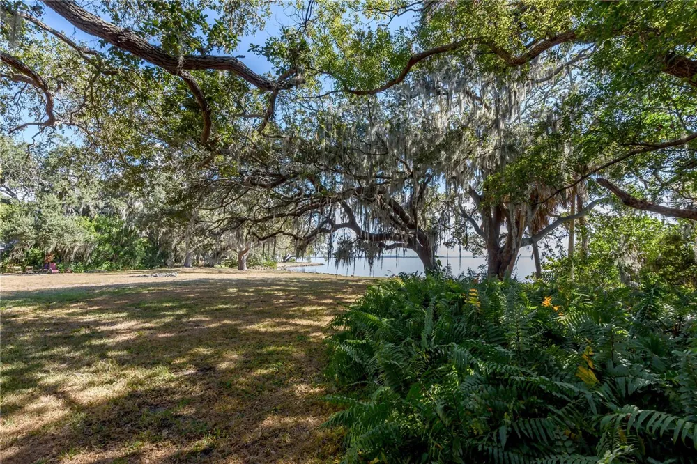 6210 BAYSHORE BOULEVARD Tampa, FL 33611