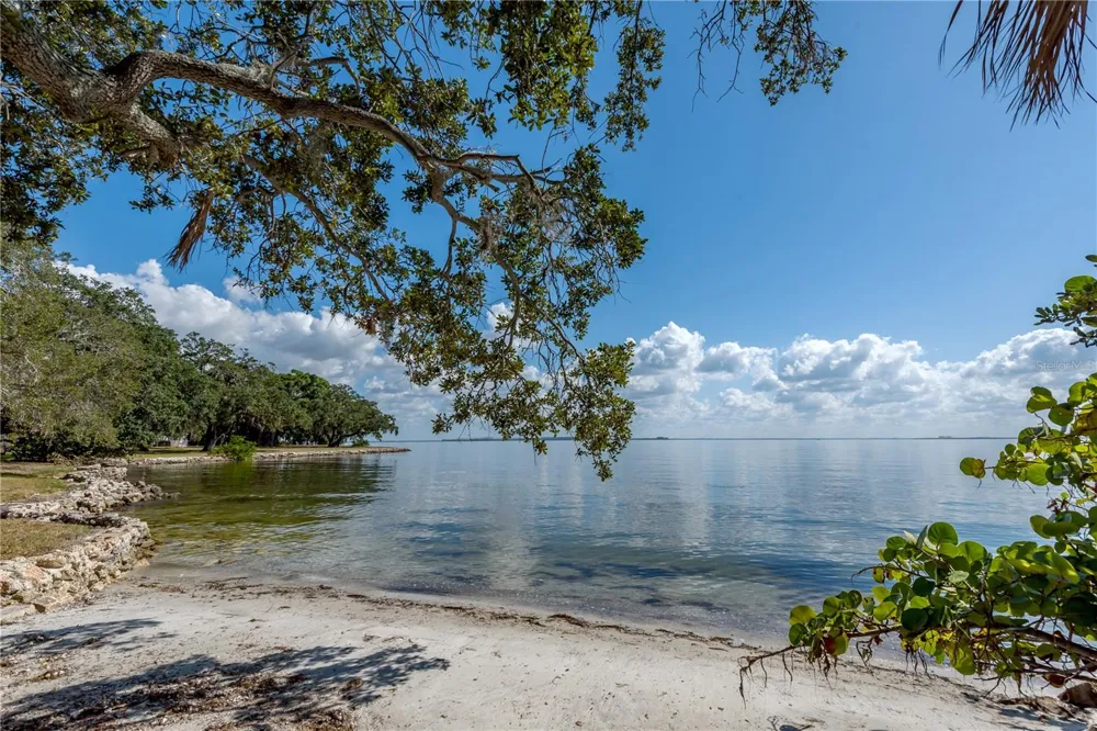 6210 BAYSHORE BOULEVARD Tampa, FL 33611