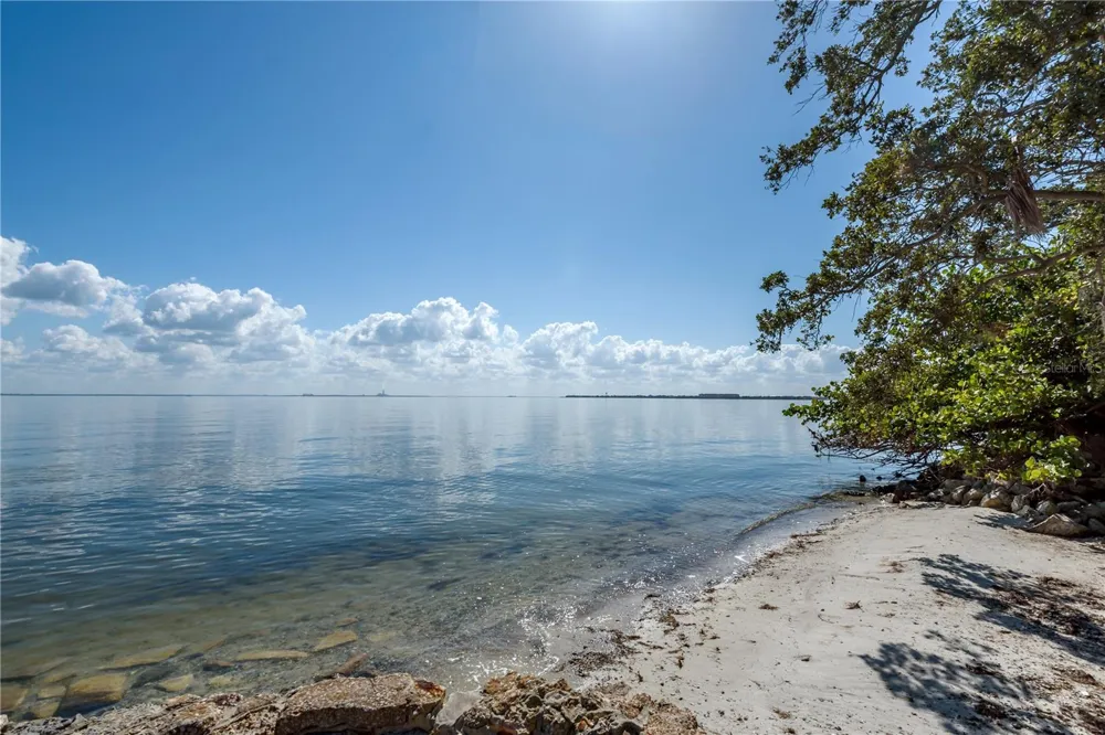 6210 BAYSHORE BOULEVARD Tampa, FL 33611