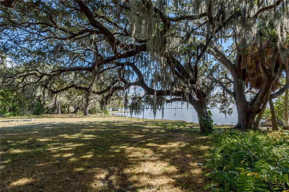 6210 BAYSHORE BOULEVARD Tampa, FL 33611
