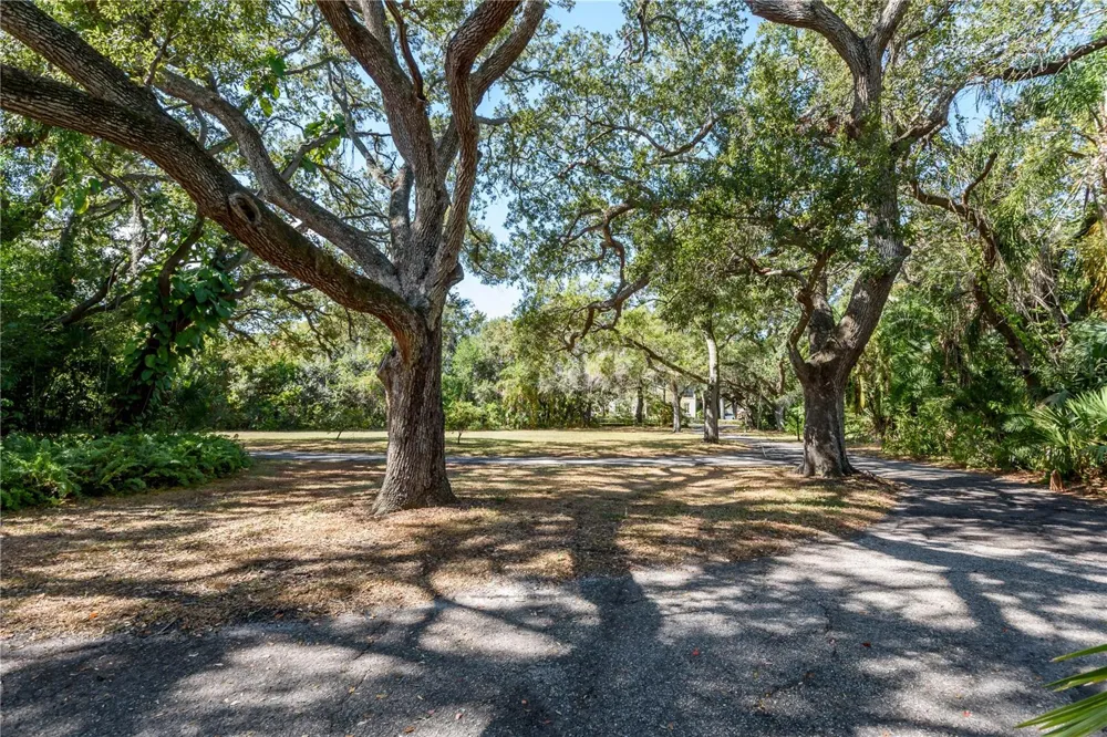 6210 BAYSHORE BOULEVARD Tampa, FL 33611
