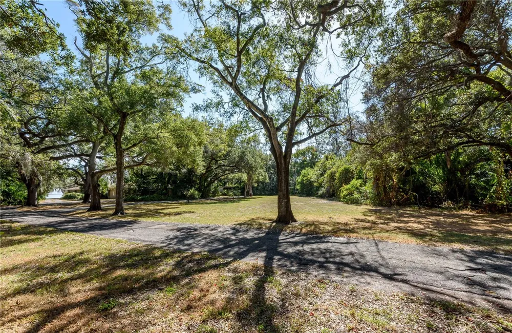 6210 BAYSHORE BOULEVARD Tampa, FL 33611