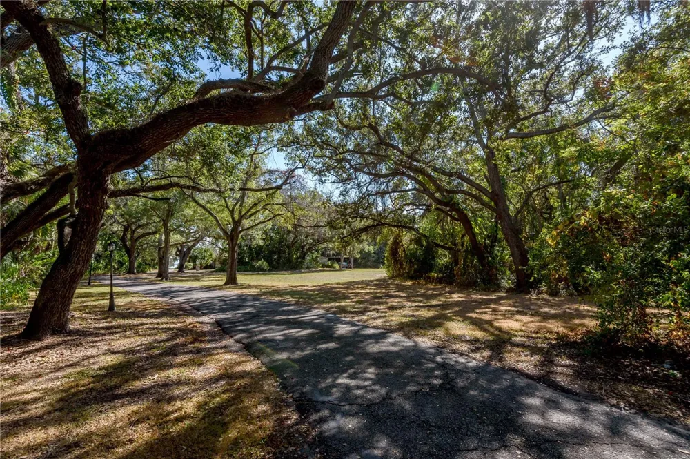 6210 BAYSHORE BOULEVARD Tampa, FL 33611