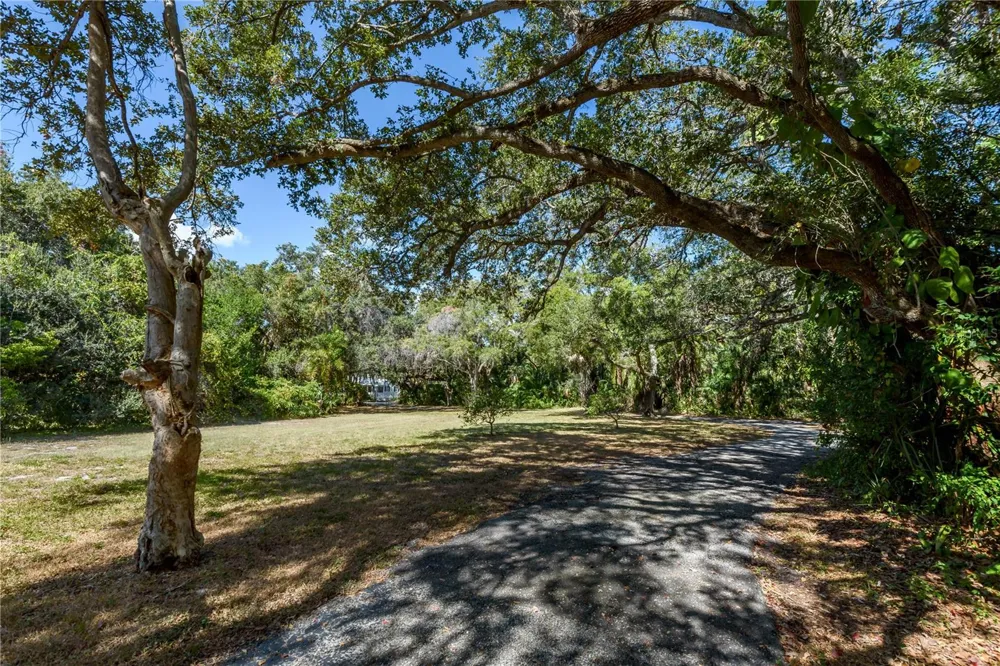 6210 BAYSHORE BOULEVARD Tampa, FL 33611