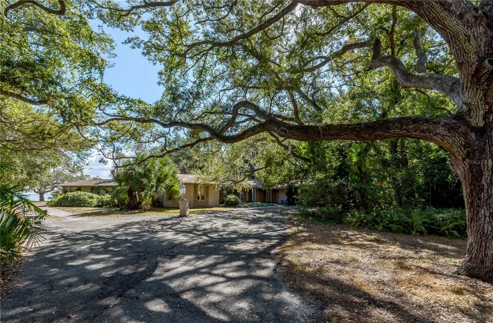 6210 BAYSHORE BOULEVARD Tampa, FL 33611