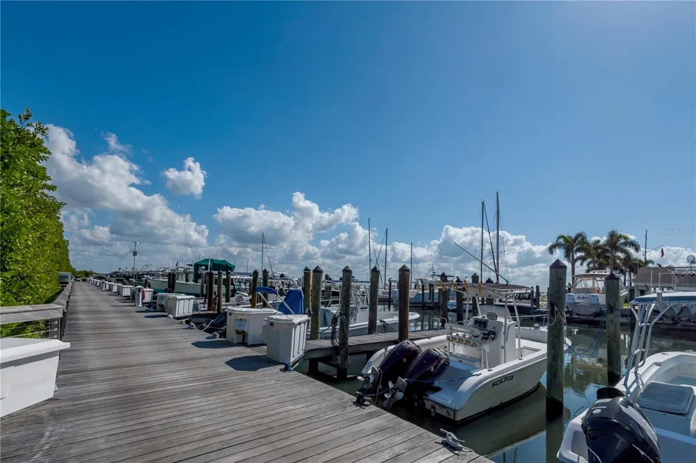 6210 BAYSHORE BOULEVARD Tampa, FL 33611