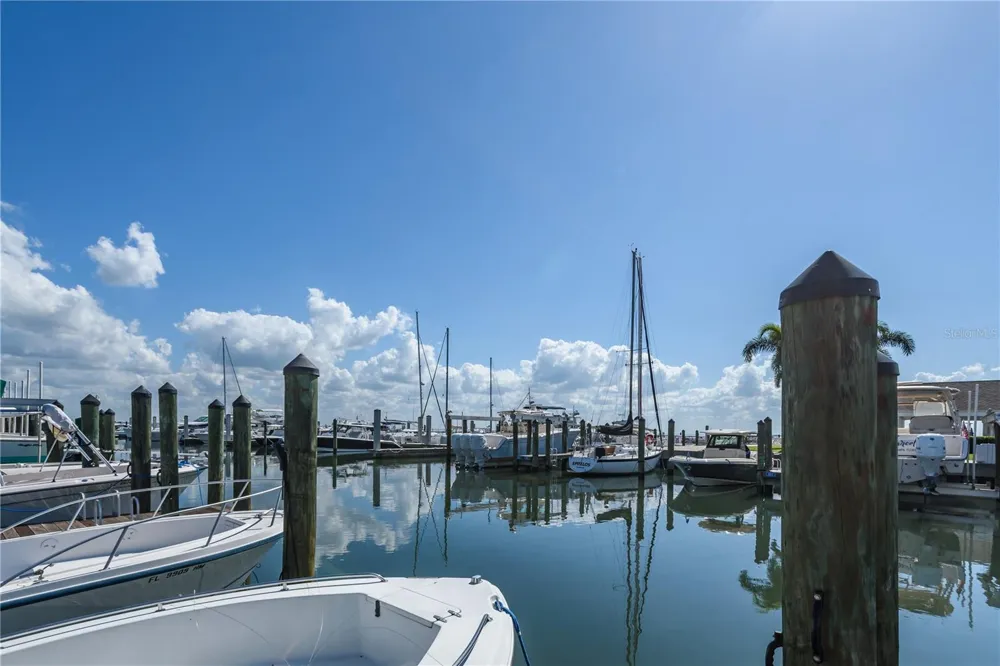 6210 BAYSHORE BOULEVARD Tampa, FL 33611