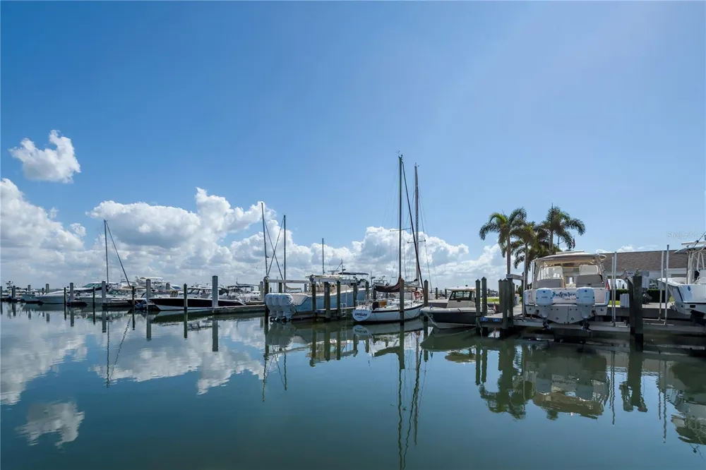 6210 BAYSHORE BOULEVARD Tampa, FL 33611