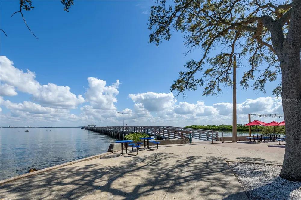 6210 BAYSHORE BOULEVARD Tampa, FL 33611