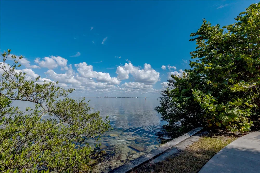 6210 BAYSHORE BOULEVARD Tampa, FL 33611