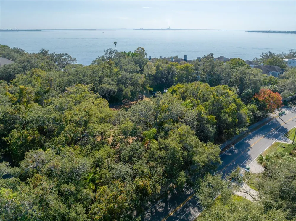 6210 BAYSHORE BOULEVARD Tampa, FL 33611