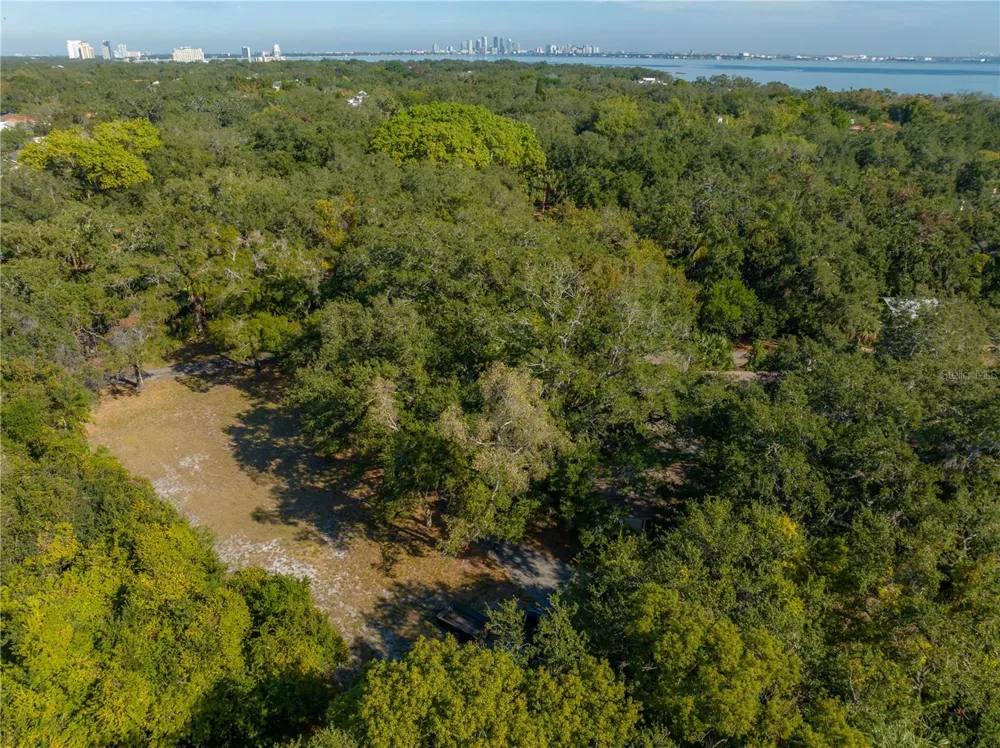 6210 BAYSHORE BOULEVARD Tampa, FL 33611