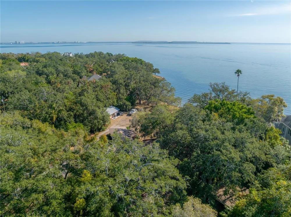 6210 BAYSHORE BOULEVARD Tampa, FL 33611