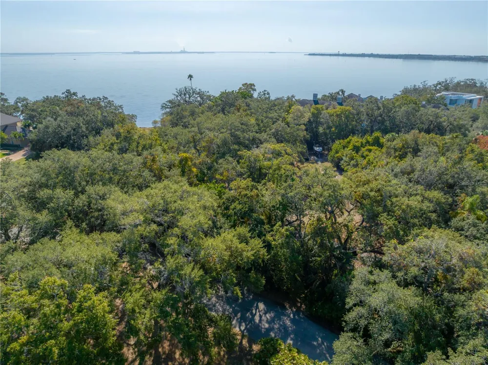 6210 BAYSHORE BOULEVARD Tampa, FL 33611