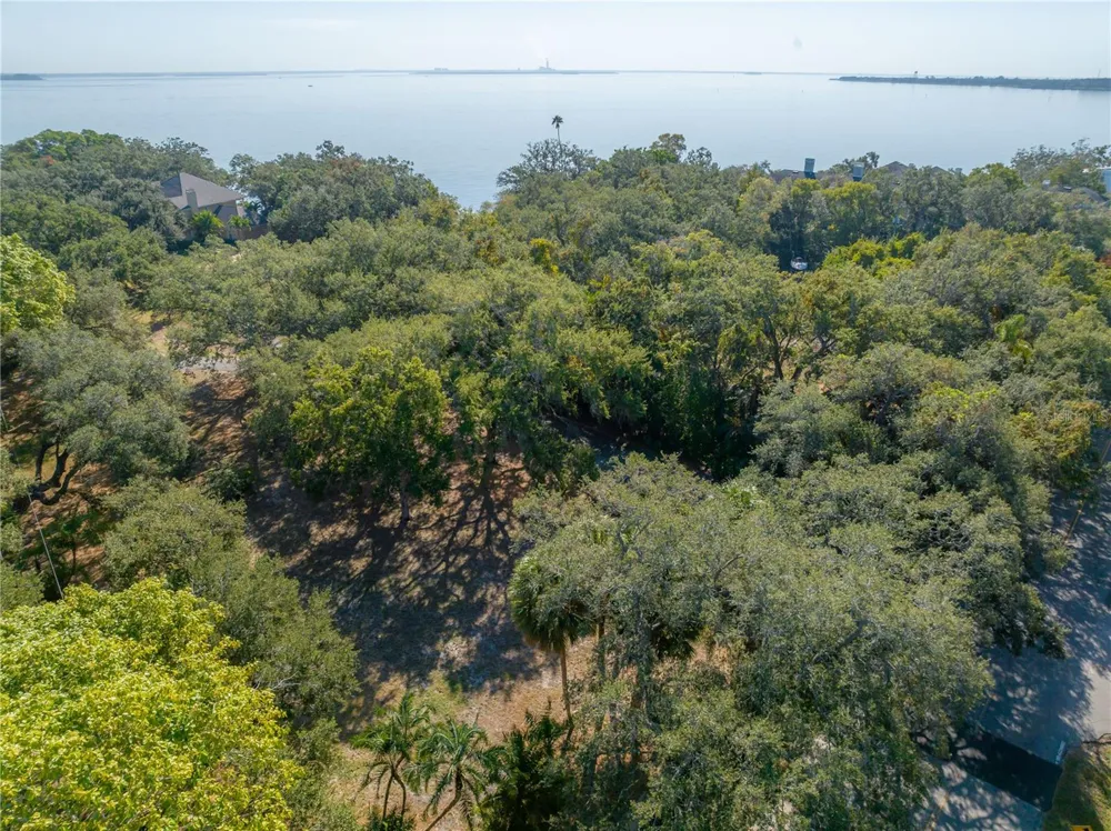 6210 BAYSHORE BOULEVARD Tampa, FL 33611