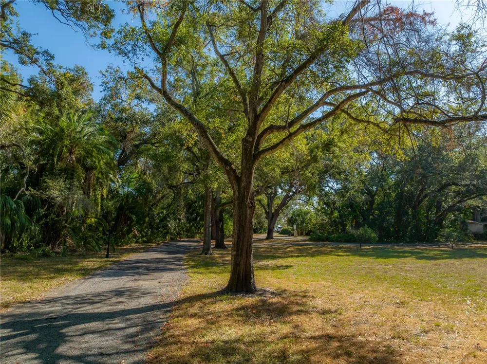 6210 BAYSHORE BOULEVARD Tampa, FL 33611