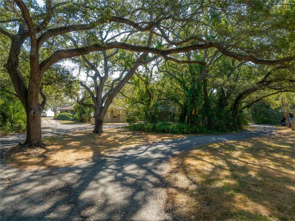 6210 BAYSHORE BOULEVARD Tampa, FL 33611