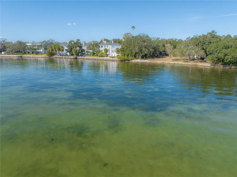 6210 BAYSHORE BOULEVARD Tampa, FL 33611