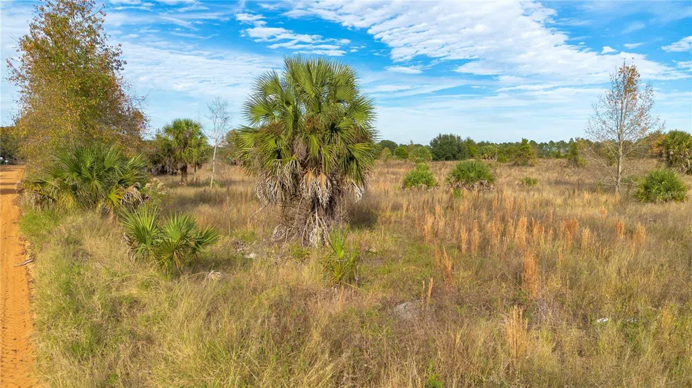 28432 S EICHELBERGER ROAD Tavares, FL 32778