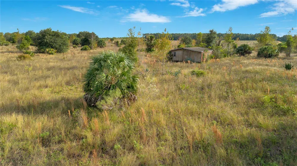 28432 S EICHELBERGER ROAD Tavares, FL 32778