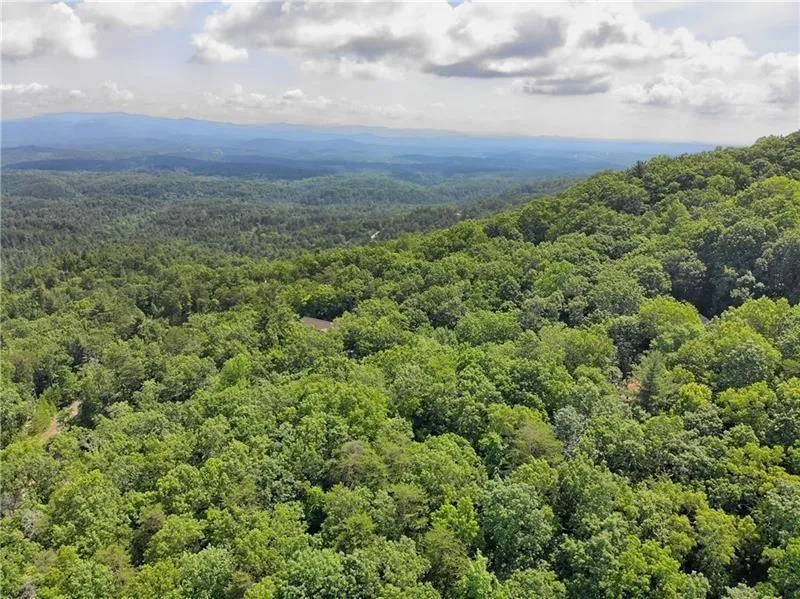 3023 Wild Turkey Bluff Big Canoe, GA 30143