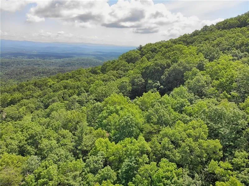 3023 Wild Turkey Bluff Big Canoe, GA 30143