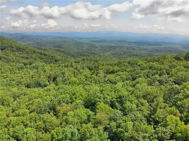 3023 Wild Turkey Bluff Big Canoe, GA 30143