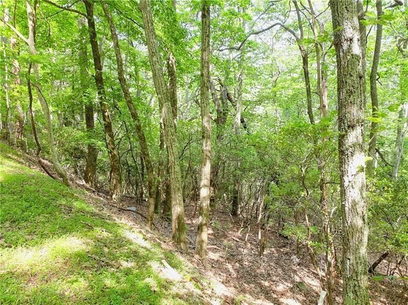 3023 Wild Turkey Bluff Big Canoe, GA 30143
