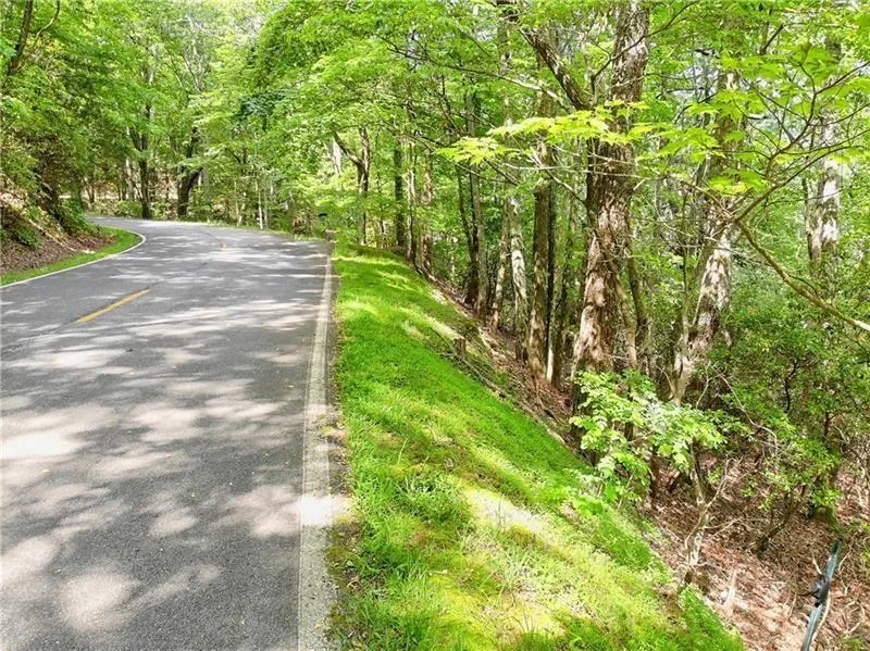 3023 Wild Turkey Bluff Big Canoe, GA 30143
