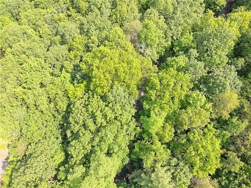 3023 Wild Turkey Bluff Big Canoe, GA 30143