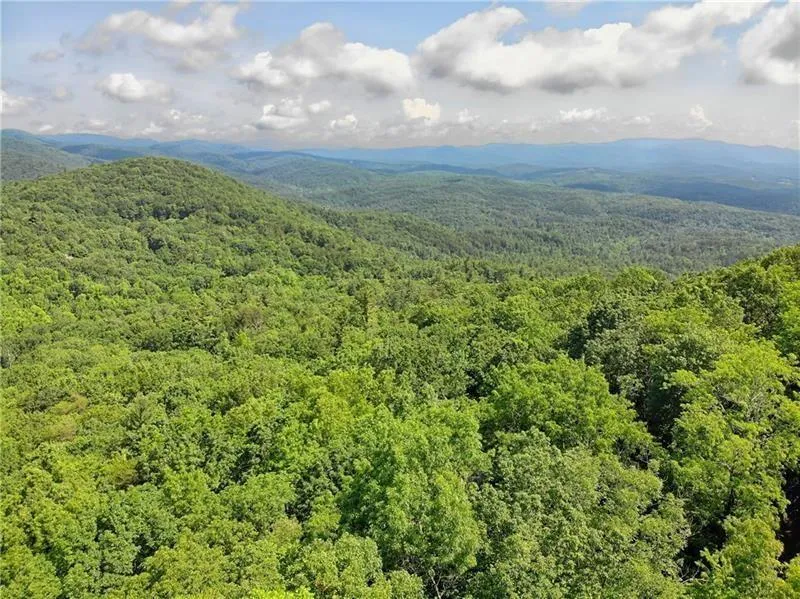 3023 Wild Turkey Bluff Big Canoe, GA 30143