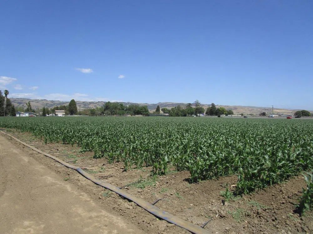 2025 Pacheco Pass Highway Gilroy, CA 95020