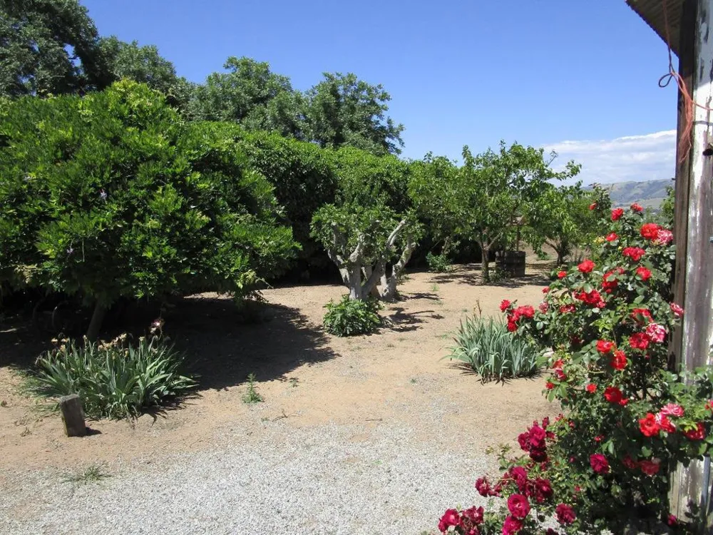 2025 Pacheco Pass Highway Gilroy, CA 95020