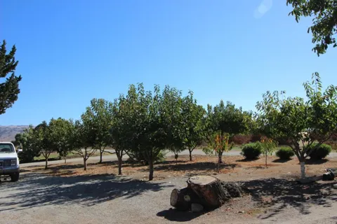 2025 Pacheco Pass Highway