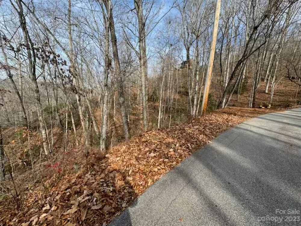 Lot 17 Franklin Farm Road Franklin, NC 28734
