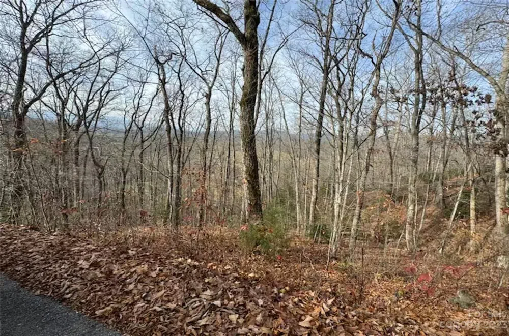 Lot 17 Franklin Farm Road Franklin, NC 28734