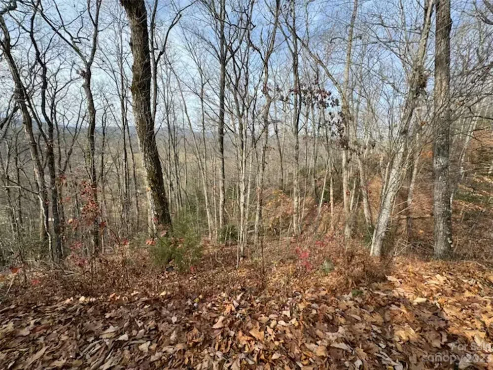 Lot 17 Franklin Farm Road Franklin, NC 28734