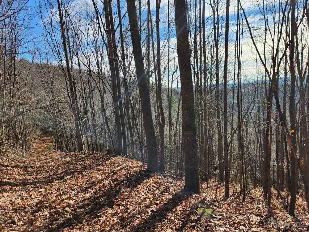 6900 Mertie Road Millers Creek, NC 28651