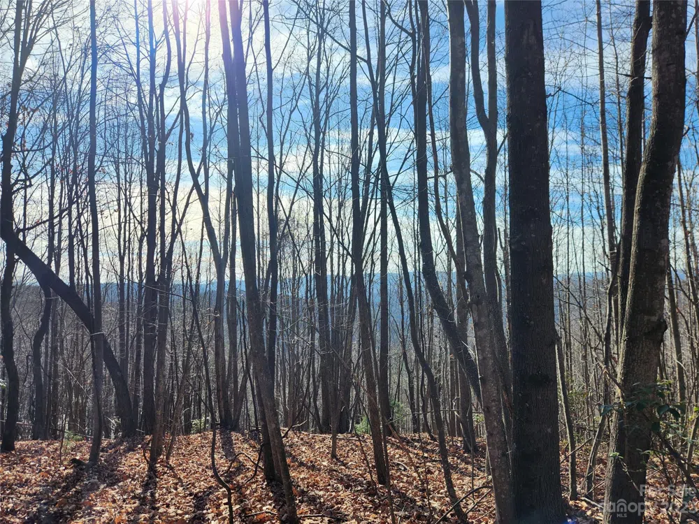6900 Mertie Road Millers Creek, NC 28651