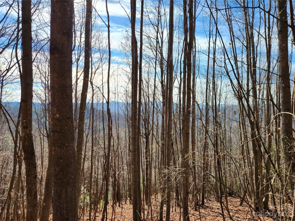 6900 Mertie Road Millers Creek, NC 28651