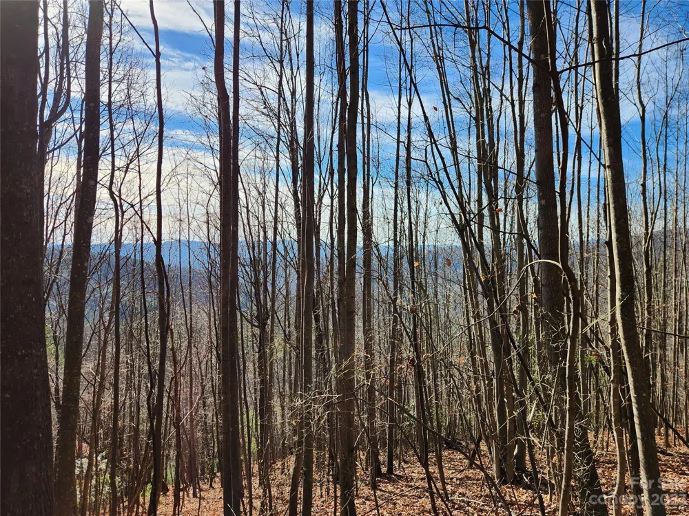6900 Mertie Road Millers Creek, NC 28651