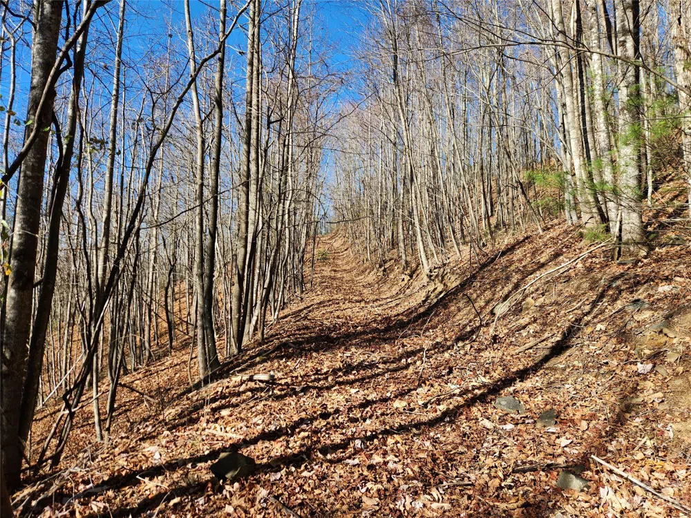 6900 Mertie Road Millers Creek, NC 28651