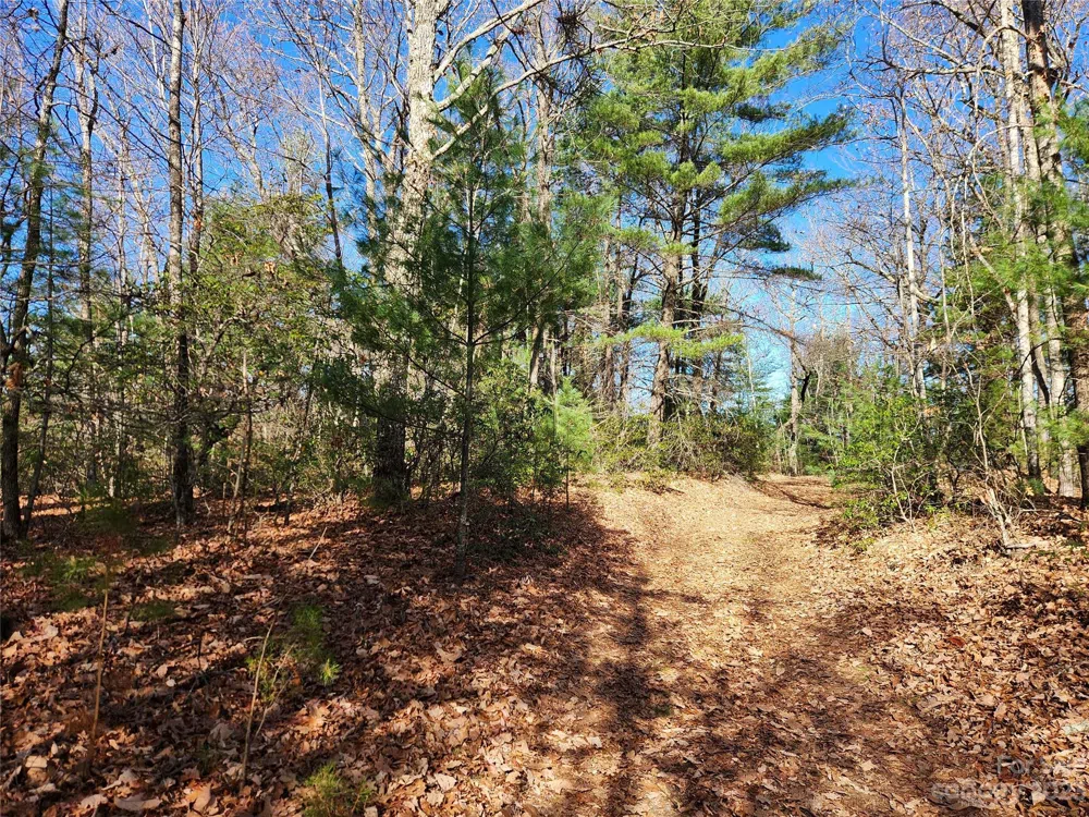 6900 Mertie Road Millers Creek, NC 28651