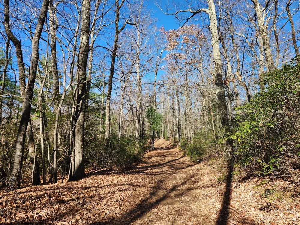 6900 Mertie Road Millers Creek, NC 28651